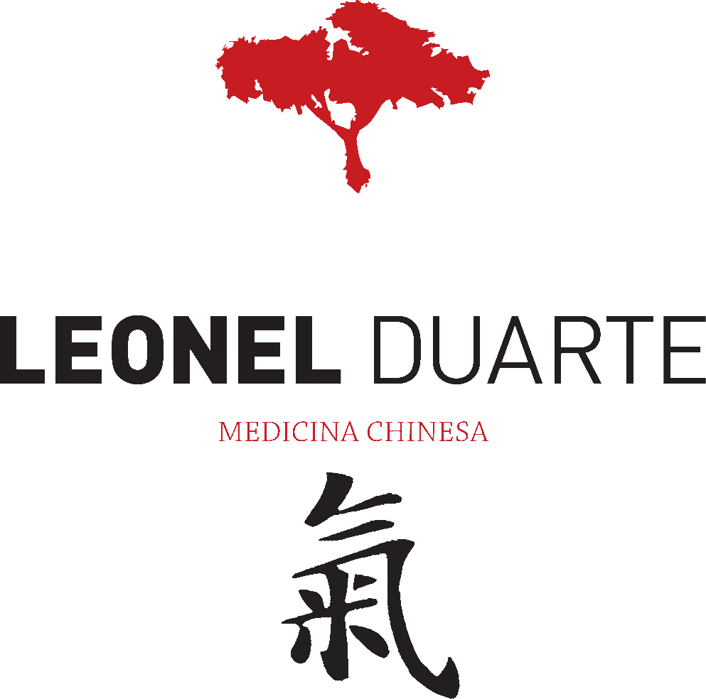 main-logo-leonelduarte
